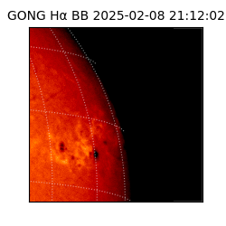 gong - 2025-02-08T21:12:02