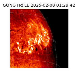 gong - 2025-02-08T01:29:42