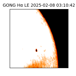 gong - 2025-02-08T03:10:42