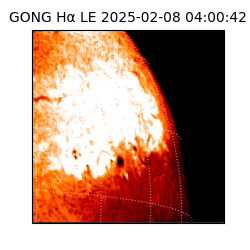 gong - 2025-02-08T04:00:42
