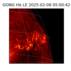 gong - 2025-02-08T05:00:42