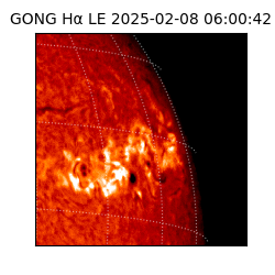 gong - 2025-02-08T06:00:42