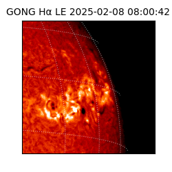 gong - 2025-02-08T08:00:42