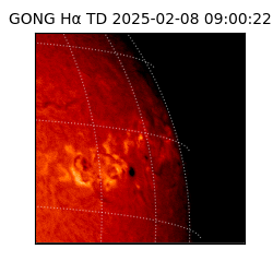 gong - 2025-02-08T09:00:22