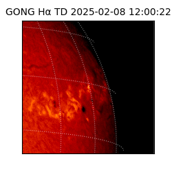gong - 2025-02-08T12:00:22