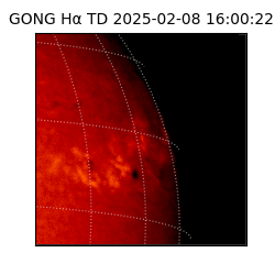 gong - 2025-02-08T16:00:22