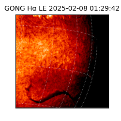 gong - 2025-02-08T01:29:42