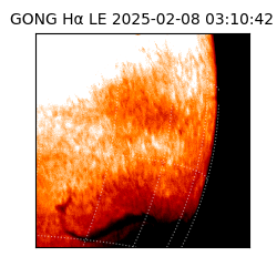 gong - 2025-02-08T03:10:42