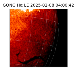 gong - 2025-02-08T04:00:42