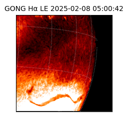 gong - 2025-02-08T05:00:42
