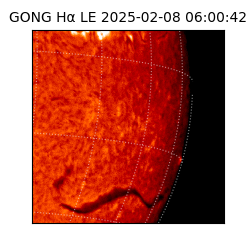 gong - 2025-02-08T06:00:42