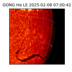 gong - 2025-02-08T07:00:42