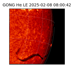 gong - 2025-02-08T08:00:42