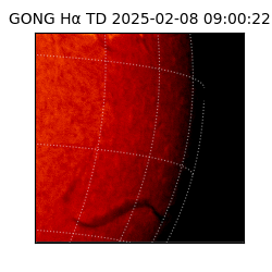 gong - 2025-02-08T09:00:22