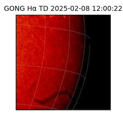 gong - 2025-02-08T12:00:22