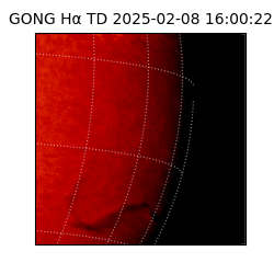 gong - 2025-02-08T16:00:22