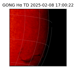 gong - 2025-02-08T17:00:22