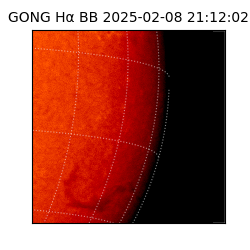 gong - 2025-02-08T21:12:02