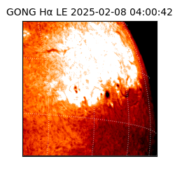 gong - 2025-02-08T04:00:42