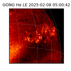 gong - 2025-02-08T05:00:42