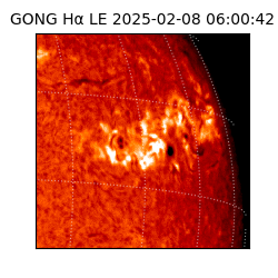 gong - 2025-02-08T06:00:42