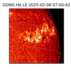 gong - 2025-02-08T07:00:42