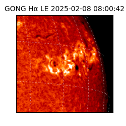 gong - 2025-02-08T08:00:42