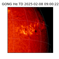 gong - 2025-02-08T09:00:22