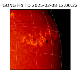 gong - 2025-02-08T12:00:22