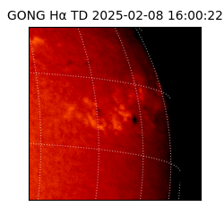 gong - 2025-02-08T16:00:22
