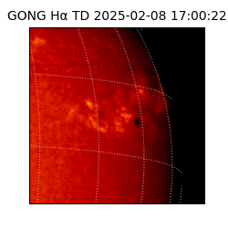 gong - 2025-02-08T17:00:22
