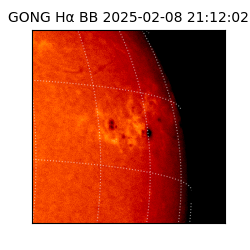 gong - 2025-02-08T21:12:02