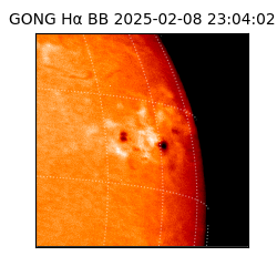 gong - 2025-02-08T23:04:02