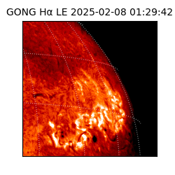 gong - 2025-02-08T01:29:42