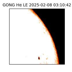 gong - 2025-02-08T03:10:42