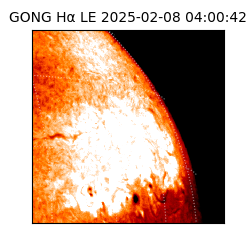 gong - 2025-02-08T04:00:42
