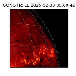 gong - 2025-02-08T05:00:42