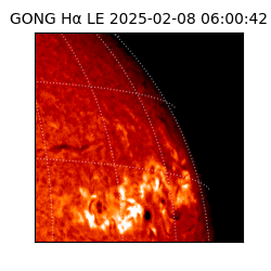 gong - 2025-02-08T06:00:42