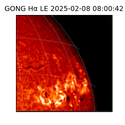 gong - 2025-02-08T08:00:42