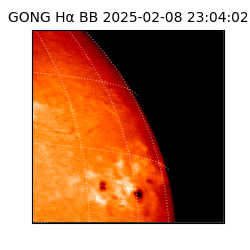 gong - 2025-02-08T23:04:02