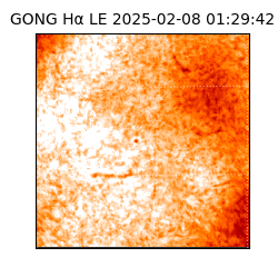 gong - 2025-02-08T01:29:42