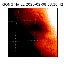 gong - 2025-02-08T03:10:42