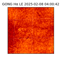 gong - 2025-02-08T04:00:42
