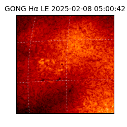 gong - 2025-02-08T05:00:42