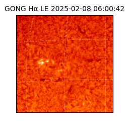 gong - 2025-02-08T06:00:42