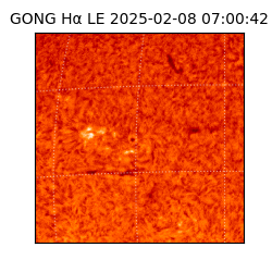 gong - 2025-02-08T07:00:42