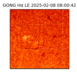 gong - 2025-02-08T08:00:42