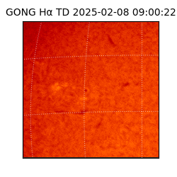 gong - 2025-02-08T09:00:22