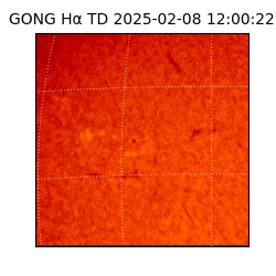 gong - 2025-02-08T12:00:22