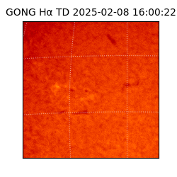 gong - 2025-02-08T16:00:22